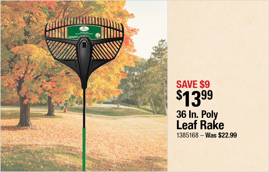 36 In. Poly Leaf Rake
